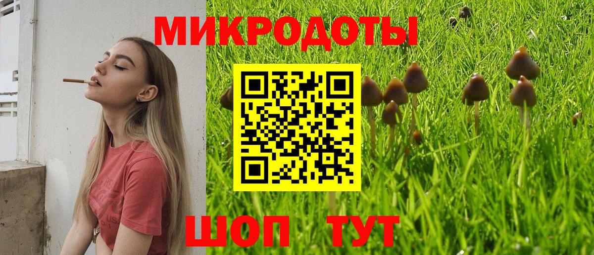 Псилоцибиновые грибы MAGIC MUSHROOMS Димитровград
