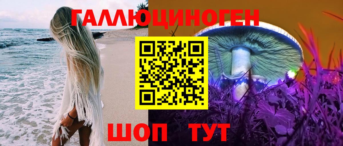 Димитровград  Галлюциногенные грибы ЛСД  где можно купить наркотик  Вход с VPN 